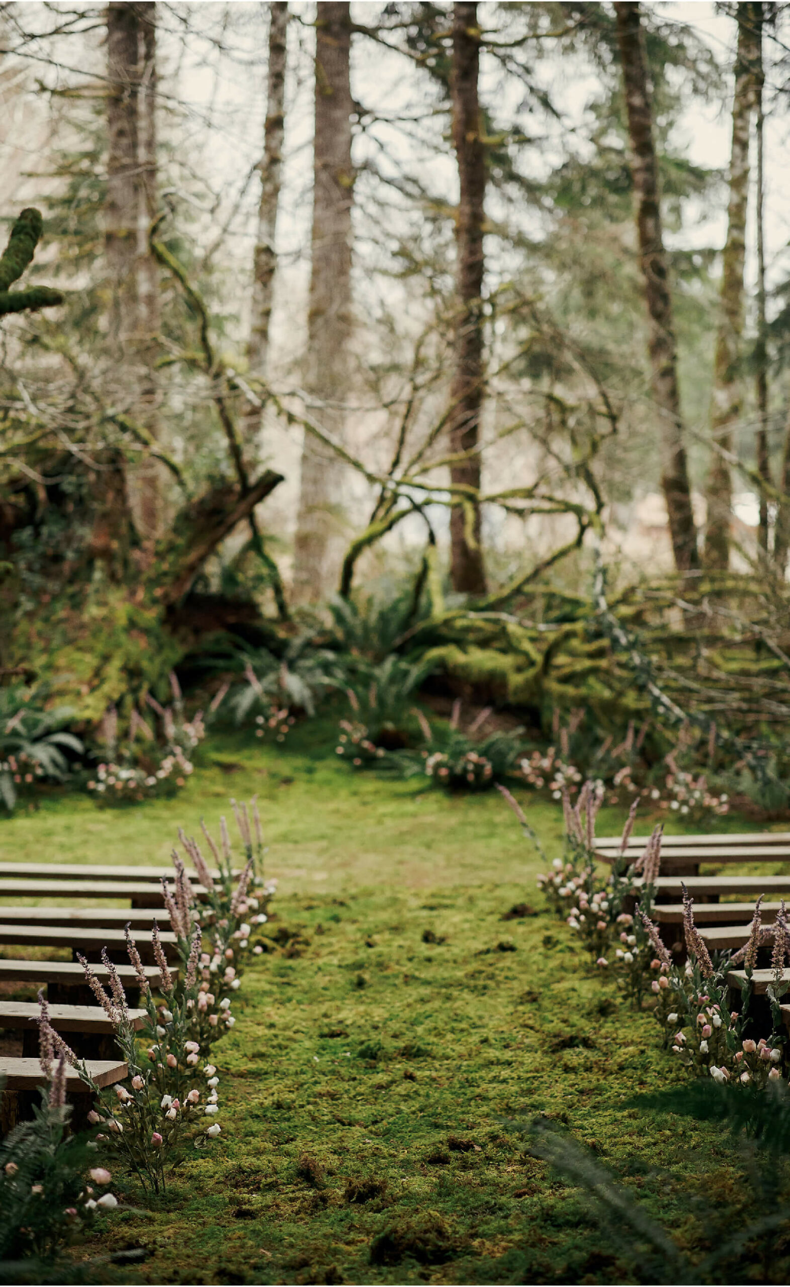 image of row seating in the middle of the woods